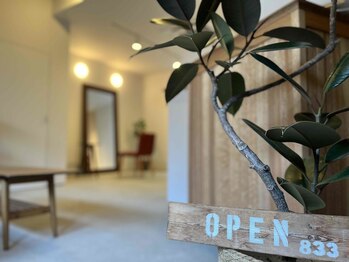 ８３３　HASAMI　【ハサミ】