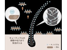 薬剤に頼らなくても、“キレイがちゃんと続く”
