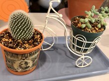 店内のこだわり/女性・男性それぞれ専用のお部屋をご用意