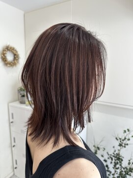 ウニ(uni) ◯レッドブラウン×ウルフ