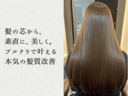 アンサルトポイ(unsarto poi)の写真