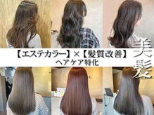 イーラヘアー(ERA HAIR)の雰囲気（髪を育てて美しい艶髪をつくります。[髪質改善/縮毛矯正]）