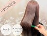 【OPEN記念】カット＋ダメージレスカラー/￥13,200→￥6,600