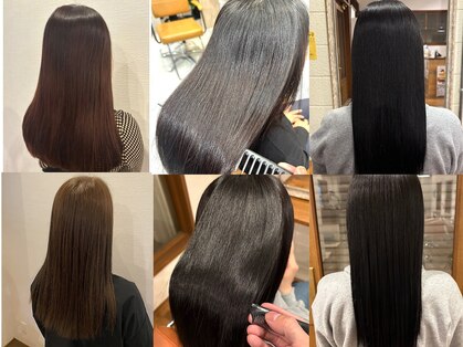 ジイップ パルミー(ZIP palmy)の写真