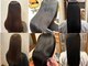 ジイップ パルミー(ZIP palmy)の写真
