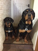 ヘアンドメイク リース(hair&make Wreath)&nbsp;石川 