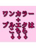 ↓ここから下はワンカラー+プルエクステ取り付けメニューです↓