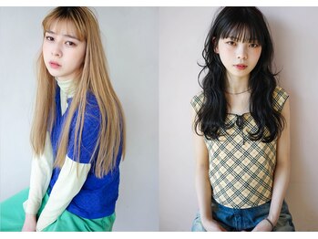 Lodge【ロッジ】