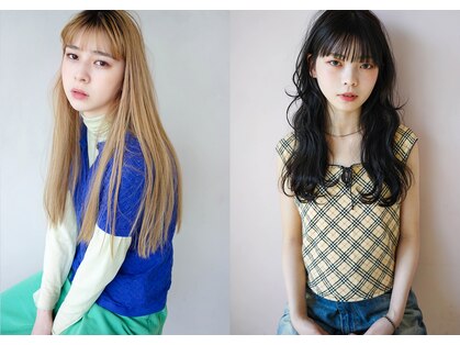 ロッジ(Lodge)の写真