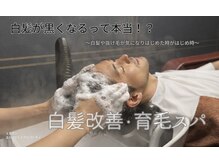 ラムデリカ(LUMDERICA)の雰囲気（ミルボン『エンハンシングビバシティ』。不完全な白髪を黒く！！）