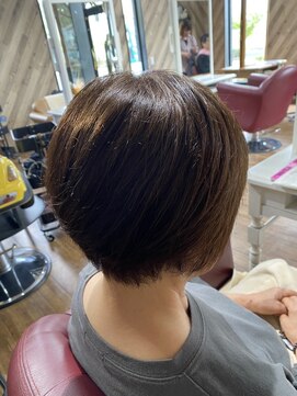 ルネッサンスヘアー ラファエロ(RAFFAELLO) 艶々グレーカラー