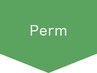 ↓↓↓パーマメニュー↓↓↓　※このクーポンは使用できません