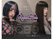 ラビットホール(Rabbit hole)