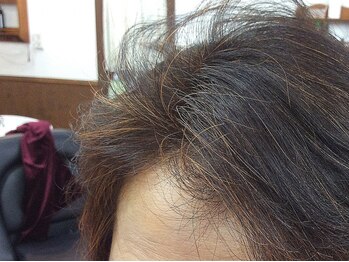 ゾーンヘアの写真/【ヘナカラー/香草カラー】頭皮が敏感なあなたに！しっかり染まる自然派カラーで、髪と心に優しい施術を♪