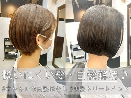 イン(in.)の写真