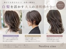 ネオリーブチノ 登戸店(Neolive cino)