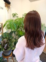 バーベナ(VERBENA)&nbsp;ピンクバイオレットベージュ