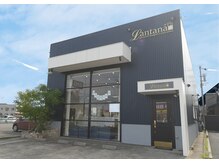 ランタナ(Lantana)