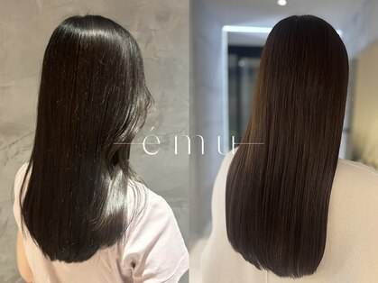 エミュ 伏見 国際センター(emu)の写真