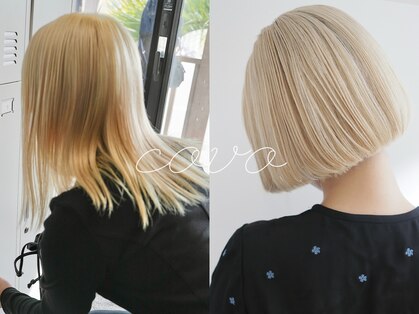 タップコーヴォ(TAP covo)の写真