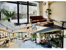 ノードゥス(NODUS)