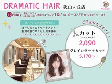 ドラマチックヘア 狭山ヶ丘店(DRAMATIC HAIR)