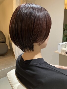 本と南風 guest design