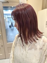 シダ(sida)&nbsp;Autumn color 「ボルドーカラー」
