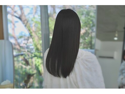 スイ(sui)の写真