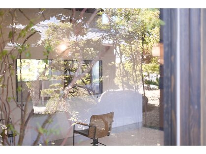 ノウタン(noutan)の写真