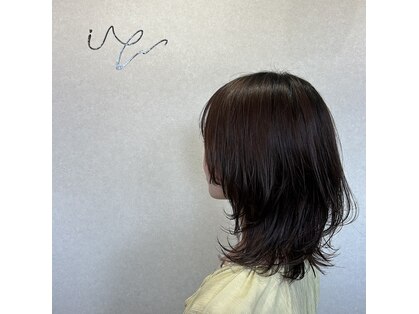 フィル(FiL)の写真