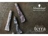 新規【約60分/白髪染めOK】前処理TR付 テラオーガニック全体染め+TR ￥6380