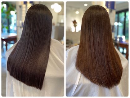 ボニー カマクラ(BONNY kamakura)の写真