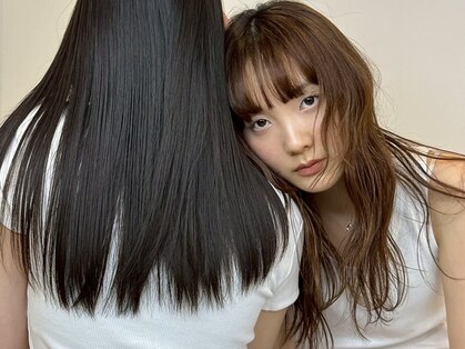 コンベックス(convex)の写真