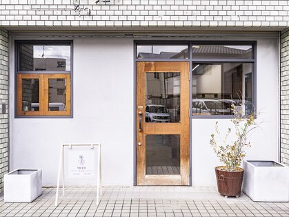 ニコ(NICCO)の写真