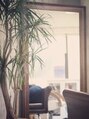 ヘアーサロン アンパス(hair salon UnPaS)/kazu