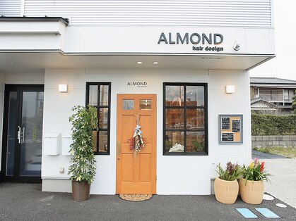 アーモンド(ALMOND)の写真