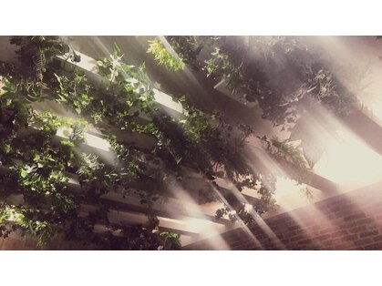 レベッカ(REBECCＡ by CURACION)の写真