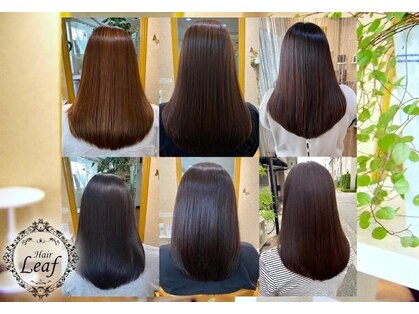 ヘアー リーフ(Hair Leaf)の写真