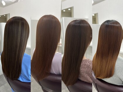 ネルケ(nelke)の写真