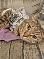 ヴェレ(vere) 光田 志保