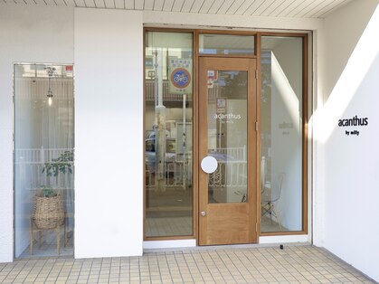アカンサス バイ ミリー 高槻店(acanthus by milly)の写真
