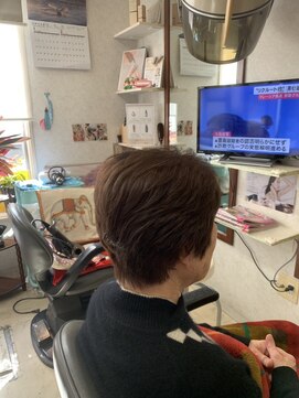 サロン ド シルク オリーブグレー/ヘーゼルベージュ/暗めカラー/ココアブラウン