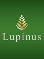 ルピナス(Lupinus)/Lupinus二俣川店