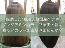 フィレール(Filer)