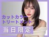 【本日限定】カットカラートリートメントEX