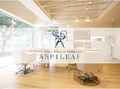 アスピリーフ(ASPILEAF)の写真