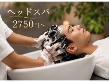 ネフェルバイアクロス(NefeL by AKROS)の写真/日々の疲れや頭皮の汚れをスッキリ落としてくれるクイック炭酸スパ