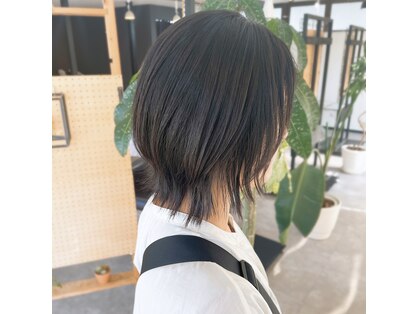 きいろとみどり 黒瀬店の写真