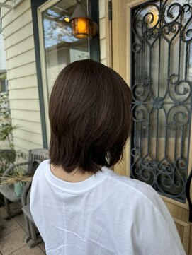 チョコレート(chocolate) ソフトウルフ